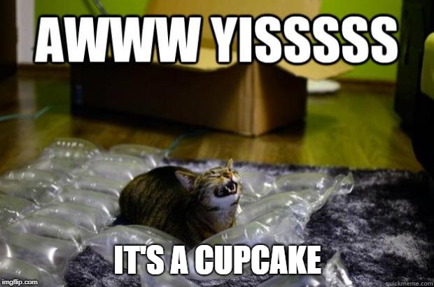 Awwww yiss Cat | IT'S A CUPCAKE | image tagged in awwww yiss cat | made w/ Imgflip meme maker