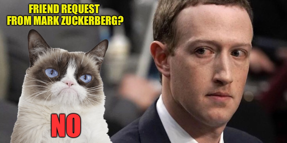 FRIEND REQUEST FROM MARK ZUCKERBERG? NO | image tagged in grumpy and the zuk,memes,mark zuckerberg,grumpy cat | made w/ Imgflip meme maker