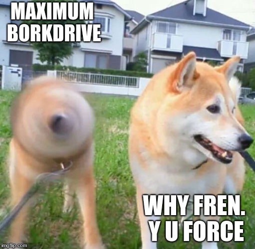 maximum bork mode | MAXIMUM BORKDRIVE; WHY FREN. Y U FORCE | image tagged in maximum bork mode | made w/ Imgflip meme maker