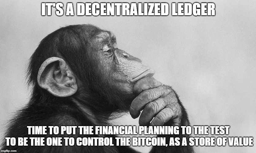 IT'S A DECENTRALIZED LEDGER; TIME TO PUT THE FINANCIAL PLANNING TO THE TEST TO BE THE ONE TO CONTROL THE BITCOIN, AS A STORE OF VALUE | made w/ Imgflip meme maker
