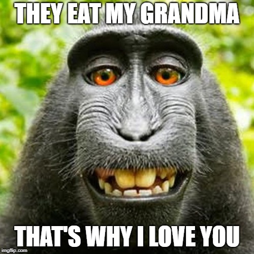 MONKEY LOVES YOU | THEY EAT MY GRANDMA; THAT'S WHY I LOVE YOU | image tagged in monkey,i love you | made w/ Imgflip meme maker