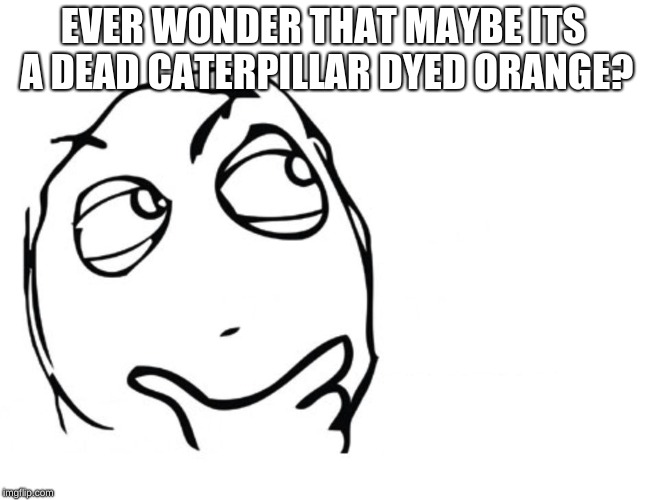 hmmm | EVER WONDER THAT MAYBE ITS A DEAD CATERPILLAR DYED ORANGE? | image tagged in hmmm | made w/ Imgflip meme maker