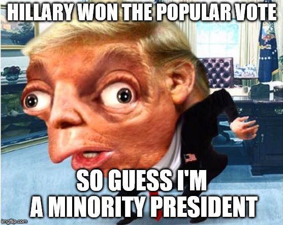 libtards owned xddddddddd | HILLARY WON THE POPULAR VOTE; SO GUESS I'M A MINORITY PRESIDENT | image tagged in mocking trump,politics lol,libtards,xd,minorities | made w/ Imgflip meme maker