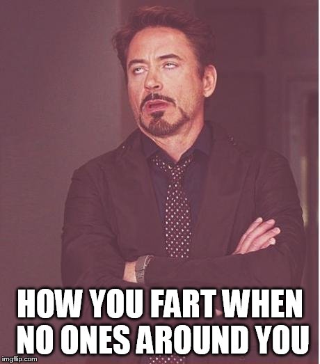Face You Make Robert Downey Jr Meme | HOW YOU FART WHEN NO ONES AROUND YOU | image tagged in memes,face you make robert downey jr | made w/ Imgflip meme maker