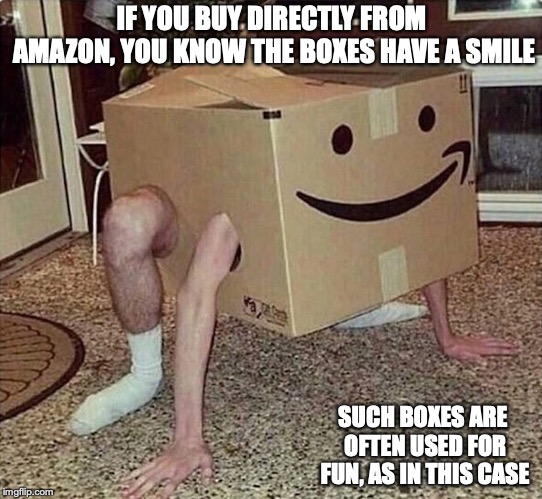 Amazon Frog | IF YOU BUY DIRECTLY FROM AMAZON, YOU KNOW THE BOXES HAVE A SMILE; SUCH BOXES ARE OFTEN USED FOR FUN, AS IN THIS CASE | image tagged in memes,amazon | made w/ Imgflip meme maker