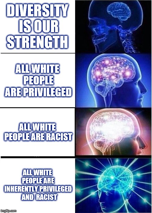 Expanding Brain | DIVERSITY IS OUR STRENGTH; ALL WHITE PEOPLE ARE PRIVILEGED; ALL WHITE PEOPLE ARE RACIST; ALL WHITE PEOPLE ARE INHERENTLY PRIVILEGED   AND  RACIST | image tagged in memes,expanding brain | made w/ Imgflip meme maker