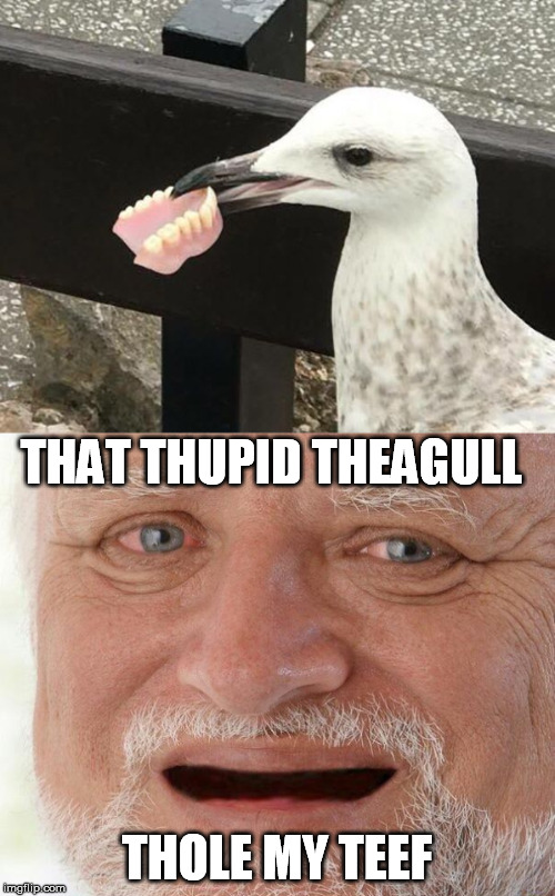 Special thanks to 44colt | THAT THUPID THEAGULL; THOLE MY TEEF | image tagged in hide the pain harold,seagull,dentures,no teeth,meme | made w/ Imgflip meme maker