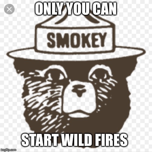 ONLY YOU CAN; START WILD FIRES | image tagged in smokey the bear | made w/ Imgflip meme maker