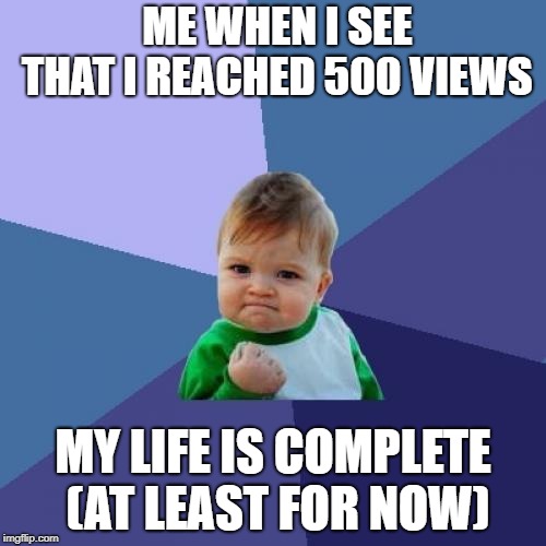 Success Kid Meme | ME WHEN I SEE THAT I REACHED 500 VIEWS; MY LIFE IS COMPLETE (AT LEAST FOR NOW) | image tagged in memes,success kid | made w/ Imgflip meme maker