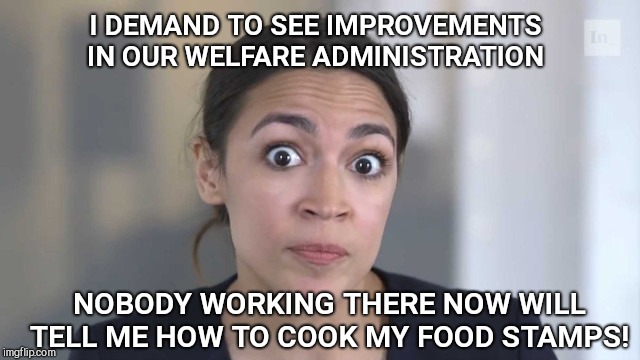 Ocasio-Cortezisms | I DEMAND TO SEE IMPROVEMENTS IN OUR WELFARE ADMINISTRATION; NOBODY WORKING THERE NOW WILL TELL ME HOW TO COOK MY FOOD STAMPS! | image tagged in ocasio-cortezisms,dumb | made w/ Imgflip meme maker