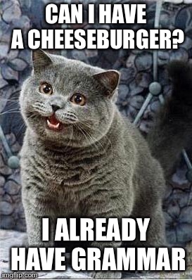 I can has cheezburger cat | CAN I HAVE A CHEESEBURGER? I ALREADY HAVE GRAMMAR | image tagged in i can has cheezburger cat | made w/ Imgflip meme maker