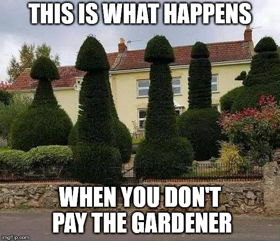 THIS IS WHAT HAPPENS; WHEN YOU DON'T PAY THE GARDENER | image tagged in gardener | made w/ Imgflip meme maker