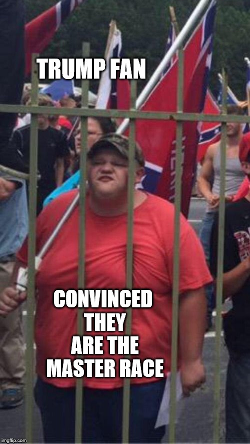Trump Fan | TRUMP FAN; CONVINCED THEY ARE THE MASTER RACE | image tagged in donald trump,confederate flag,white nationalist,fat guy,angry,master race | made w/ Imgflip meme maker