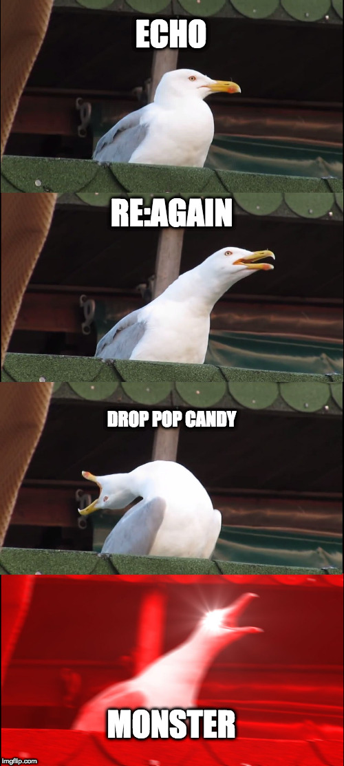 Inhaling Seagull | ECHO; RE:AGAIN; DROP POP CANDY; MONSTER | image tagged in memes,inhaling seagull | made w/ Imgflip meme maker