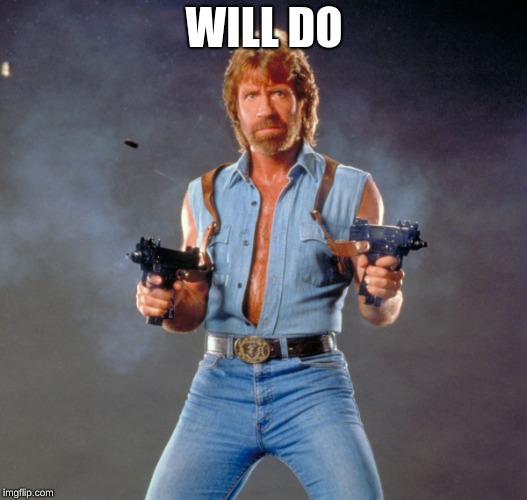 Chuck Norris Guns Meme | WILL DO | image tagged in memes,chuck norris guns,chuck norris | made w/ Imgflip meme maker