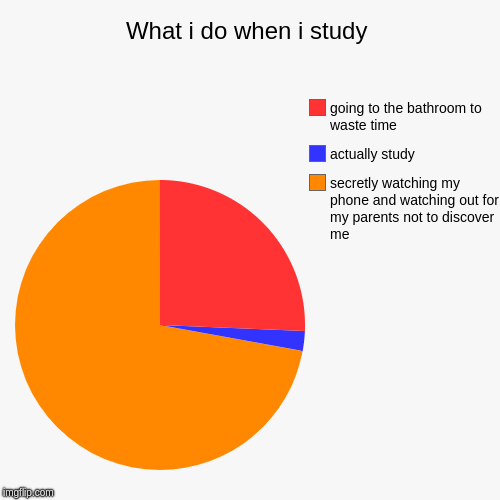 What i do when i study | secretly watching my phone and watching out for my parents not to discover me, actually study, going to the bathroo | image tagged in funny,pie charts | made w/ Imgflip chart maker