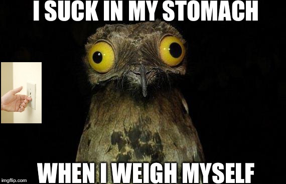 Weird Stuff I Do Potoo Meme | I SUCK IN MY STOMACH WHEN I WEIGH MYSELF | image tagged in memes,weird stuff i do potoo | made w/ Imgflip meme maker