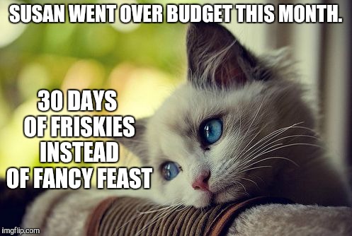 First World Problems Cat | SUSAN WENT OVER BUDGET THIS MONTH. 30 DAYS OF FRISKIES INSTEAD OF FANCY FEAST | image tagged in memes,first world problems cat | made w/ Imgflip meme maker
