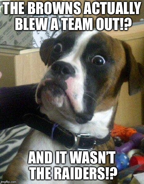 Browns actually blew a team not named the Raiders out in 2018 | THE BROWNS ACTUALLY BLEW A TEAM OUT!? AND IT WASN’T THE RAIDERS!? | image tagged in surprised dog,memes,cleveland browns,nfl football,win,oakland raiders | made w/ Imgflip meme maker