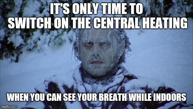 Cold | IT'S ONLY TIME TO SWITCH ON THE CENTRAL HEATING; WHEN YOU CAN SEE YOUR BREATH WHILE INDOORS | image tagged in cold | made w/ Imgflip meme maker