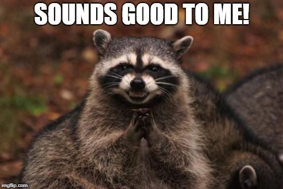 Evil racoon | SOUNDS GOOD TO ME! | image tagged in evil racoon | made w/ Imgflip meme maker