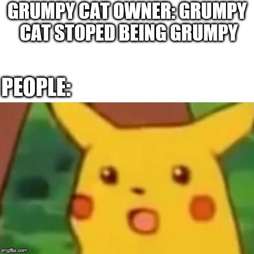 Surprised Pikachu | GRUMPY CAT OWNER: GRUMPY CAT STOPED BEING GRUMPY; PEOPLE: | image tagged in memes,surprised pikachu | made w/ Imgflip meme maker