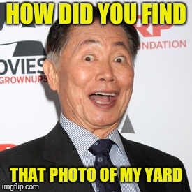 George Takei | HOW DID YOU FIND THAT PHOTO OF MY YARD | image tagged in george takei | made w/ Imgflip meme maker