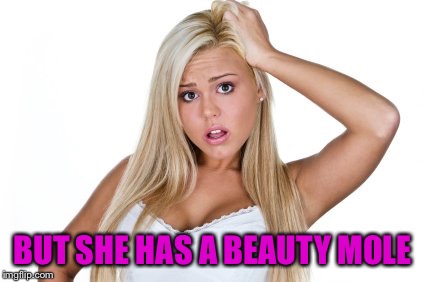 Dumb Blonde | BUT SHE HAS A BEAUTY MOLE | image tagged in dumb blonde | made w/ Imgflip meme maker