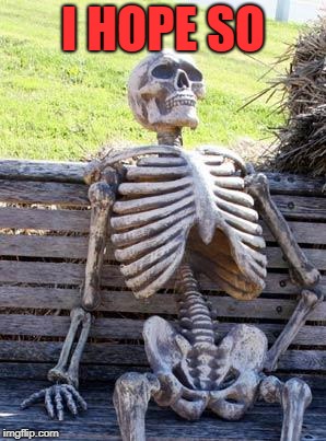 Waiting Skeleton Meme | I HOPE SO | image tagged in memes,waiting skeleton | made w/ Imgflip meme maker