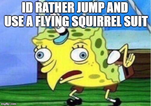 Mocking Spongebob Meme | ID RATHER JUMP AND USE A FLYING SQUIRREL SUIT | image tagged in memes,mocking spongebob | made w/ Imgflip meme maker