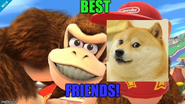 donkey kong diddy | BEST; FRIENDS! | image tagged in donkey kong diddy | made w/ Imgflip meme maker