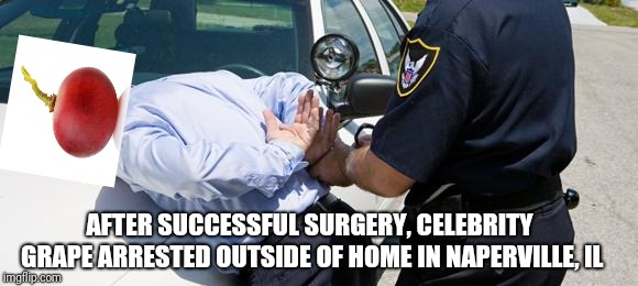 Celebrity Grape Arrested | AFTER SUCCESSFUL SURGERY, CELEBRITY GRAPE ARRESTED OUTSIDE OF HOME IN NAPERVILLE, IL | image tagged in arrest,they did surgery on a grape,grape,celebrity | made w/ Imgflip meme maker