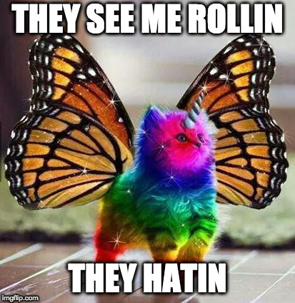 Rainbow unicorn butterfly kitten | THEY SEE ME ROLLIN; THEY HATIN | image tagged in rainbow unicorn butterfly kitten | made w/ Imgflip meme maker