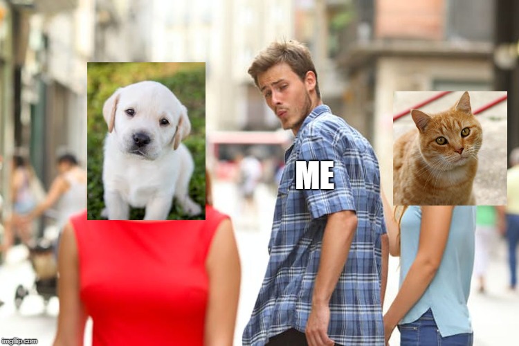 Distracted Boyfriend | ME | image tagged in memes,distracted boyfriend | made w/ Imgflip meme maker