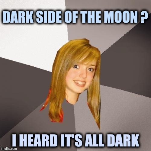 For my new personal Troll , who gets everything wrong | DARK SIDE OF THE MOON ? I HEARD IT'S ALL DARK | image tagged in pink floyd,the wall,the dark side,classic rock,never trump,troll | made w/ Imgflip meme maker