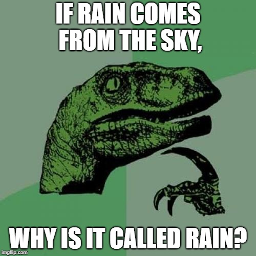 why is it rain? | IF RAIN COMES FROM THE SKY, WHY IS IT CALLED RAIN? | image tagged in memes,philosoraptor,rain | made w/ Imgflip meme maker