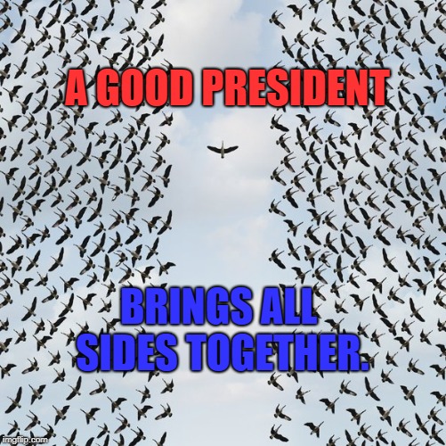 A Good President brings ALL SIDES TOGETHER | A GOOD PRESIDENT; BRINGS ALL SIDES TOGETHER. | image tagged in presidents | made w/ Imgflip meme maker