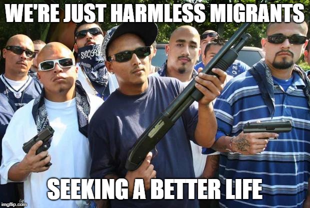Migrant Caravan | WE'RE JUST HARMLESS MIGRANTS; SEEKING A BETTER LIFE | image tagged in mexican gang,illegal immigration,migrants,donald trump | made w/ Imgflip meme maker