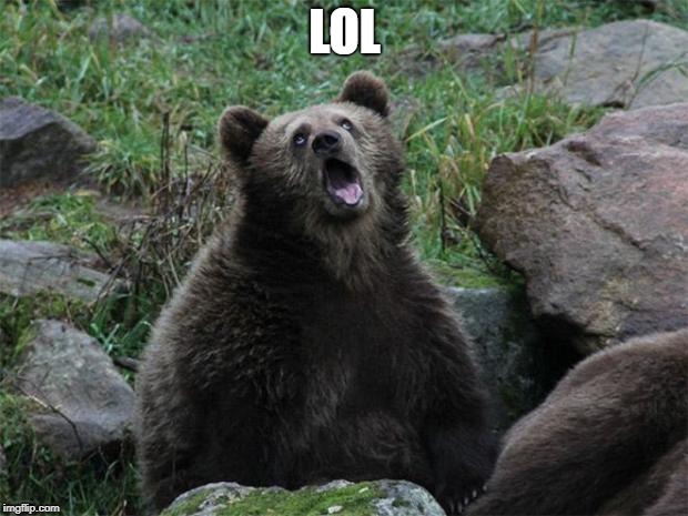 Sarcastic Bear | LOL | image tagged in sarcastic bear | made w/ Imgflip meme maker