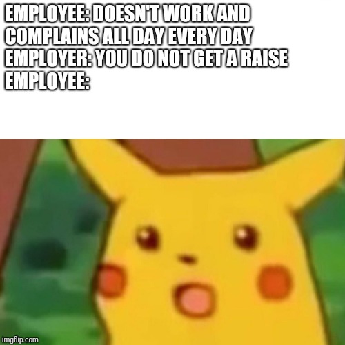 Surprised Pikachu Meme | EMPLOYEE: DOESN'T WORK AND COMPLAINS ALL DAY EVERY DAY
                 
EMPLOYER: YOU DO NOT GET A RAISE 
                                  EMPLOYEE: | image tagged in memes,surprised pikachu | made w/ Imgflip meme maker