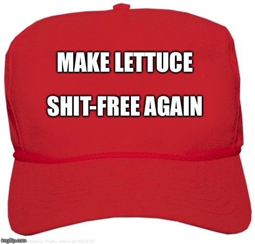 blank red MAGA hat | MAKE LETTUCE; SHIT-FREE AGAIN | image tagged in blank red maga hat | made w/ Imgflip meme maker