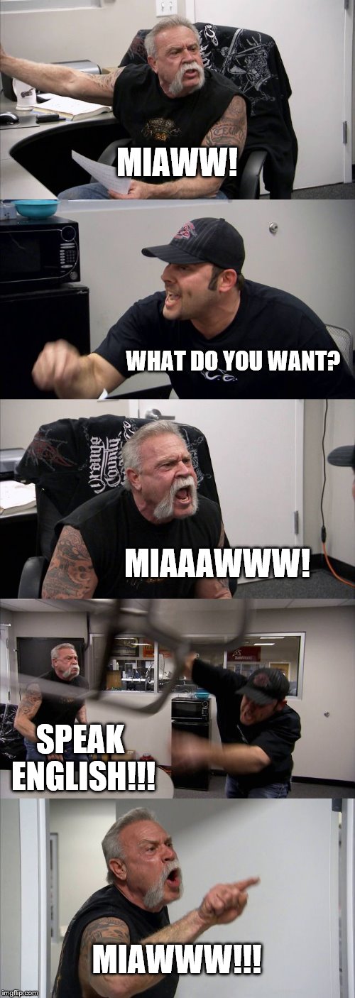 American Chopper Argument | MIAWW! WHAT DO YOU WANT? MIAAAWWW! SPEAK ENGLISH!!! MIAWWW!!! | image tagged in memes,american chopper argument | made w/ Imgflip meme maker