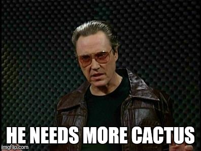 Needs More Cowbell | HE NEEDS MORE CACTUS | image tagged in needs more cowbell | made w/ Imgflip meme maker
