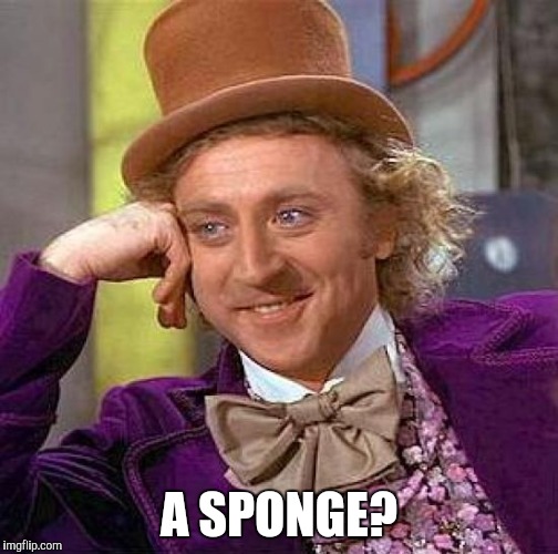 Creepy Condescending Wonka Meme | A SPONGE? | image tagged in memes,creepy condescending wonka | made w/ Imgflip meme maker