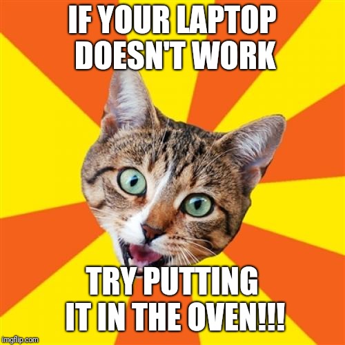 Bad Advice Cat |  IF YOUR LAPTOP DOESN'T WORK; TRY PUTTING IT IN THE OVEN!!! | image tagged in memes,bad advice cat | made w/ Imgflip meme maker