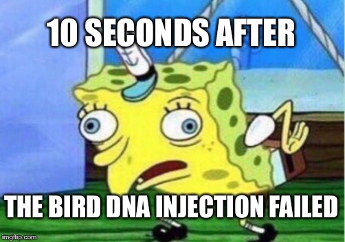 Mocking Spongebob | 10 SECONDS AFTER; THE BIRD DNA INJECTION FAILED | image tagged in memes,mocking spongebob | made w/ Imgflip meme maker