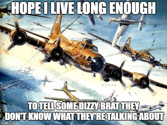 World War 2 B-17 | HOPE I LIVE LONG ENOUGH; TO TELL SOME DIZZY BRAT THEY DON'T KNOW WHAT THEY'RE TALKING ABOUT | image tagged in world war 2 b-17 | made w/ Imgflip meme maker