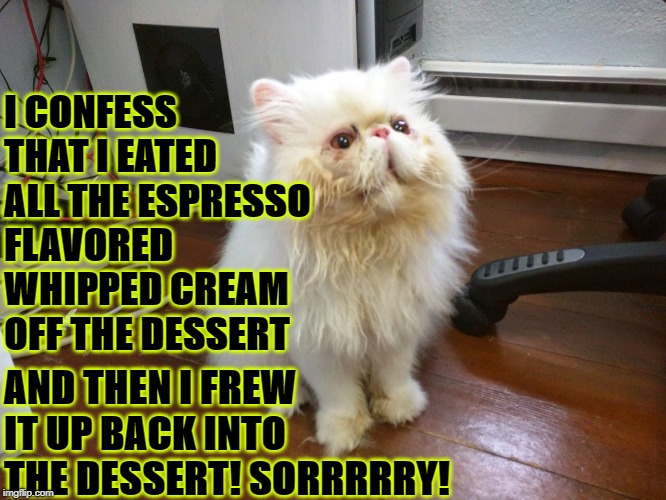 I EATED IT | I CONFESS THAT I EATED ALL THE ESPRESSO FLAVORED WHIPPED CREAM OFF THE DESSERT; AND THEN I FREW IT UP BACK INTO THE DESSERT! SORRRRRY! | image tagged in i eated it | made w/ Imgflip meme maker