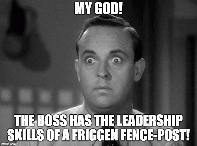 shocked face | MY GOD! THE BOSS HAS THE LEADERSHIP SKILLS OF A FRIGGEN FENCE-POST! | image tagged in shocked face | made w/ Imgflip meme maker
