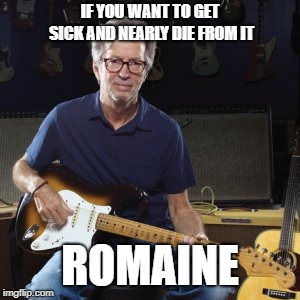 Good guy eric clapton | IF YOU WANT TO GET SICK AND NEARLY DIE FROM IT; ROMAINE | image tagged in good guy eric clapton | made w/ Imgflip meme maker